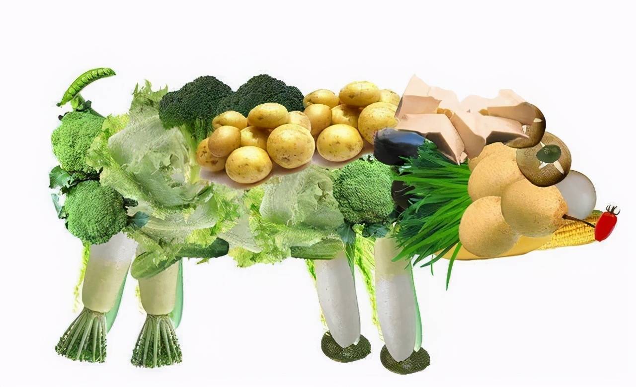 极其素食主义者有多恐怖亲手将1岁儿童喂成脑瘫